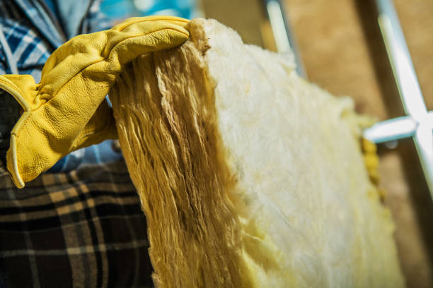 Best Cellulose Insulation in West Memphis, AR